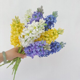 ���滨 �L���� �ٻ��͏d�b[�Ž��� DIY�zӰ��������������z��