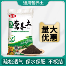 �ЙC�I�B��ͨ���B���������@ˇ�Nֲ�N�ˌ������G�����̷Nֲ�ЙC��