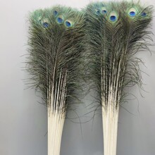 孔雀毛90-100厘米羽毛插花家居装饰diy手工工艺品长孔雀羽毛