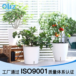 欧林泽种菜盆大号简约双层懒人自吸水花盆加宽盆口阳台种菜专用盆