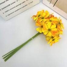 �S�����l���滨Ⱦɫ36�䲨˹�շ��滨��Y�Ҿ��b�ˇ�������ٻ�