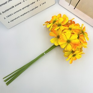 �S�����l���滨Ⱦɫ36�䲨˹�շ��滨��Y�Ҿ��b�ˇ�������ٻ�