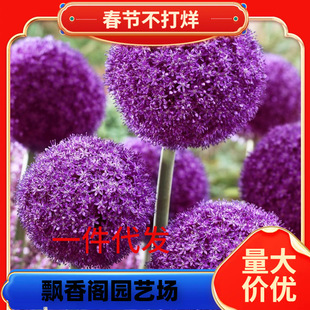 һ�����l���[�N��С���[ͥԺ���@��Խ�M���ͺ�����Ƕ�ʿ��ʹ��
