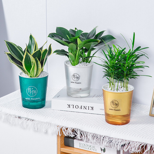 Meixuan Colored Planter Self-Watering Lazy Glass-Like Simple Durable Breathable Pothos Thick Resin Pot