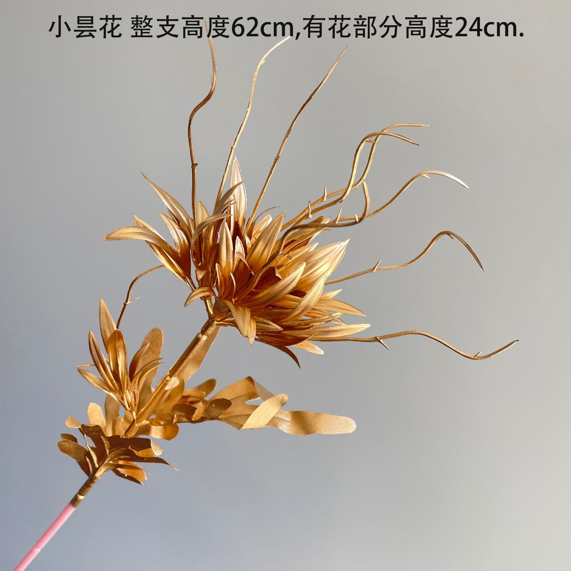 SKU10_颜色_小昙花