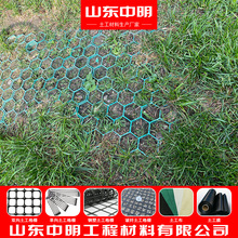 ͣ܇����5cmֲ�ݸ�����ͨ���ӹ�ֲ�ݸ������ƺ�G�����oֲ�ݸ�