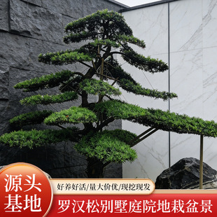 �_�h���辰�ؾ��ļ������e��ͥԺ���̾��^�G������ӭ���ɺ��B