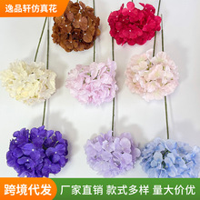 �¿�72Ƭ�Ӵ�����滨��Y�Ƶ��b��Ż������üٻ����l