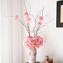 �ɻ������������������滨�͏d�Ƶ�ܛ�b�Gֲ�쾰�廨�Ĕz����