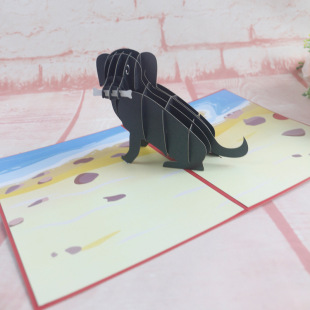 3D���w�R�����Ռ��ﹷ�Y�֪ͯͨ����Ո���OӋ���|��ˇӡˢ���