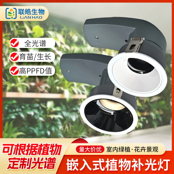 LED plant lamp