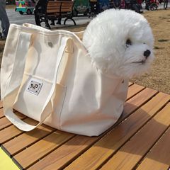 ペット外出ハンドバッグ猫バッグ小型犬外出旅行ペットバッグ携帯バッグ猫袋クロスボーダーペット用品