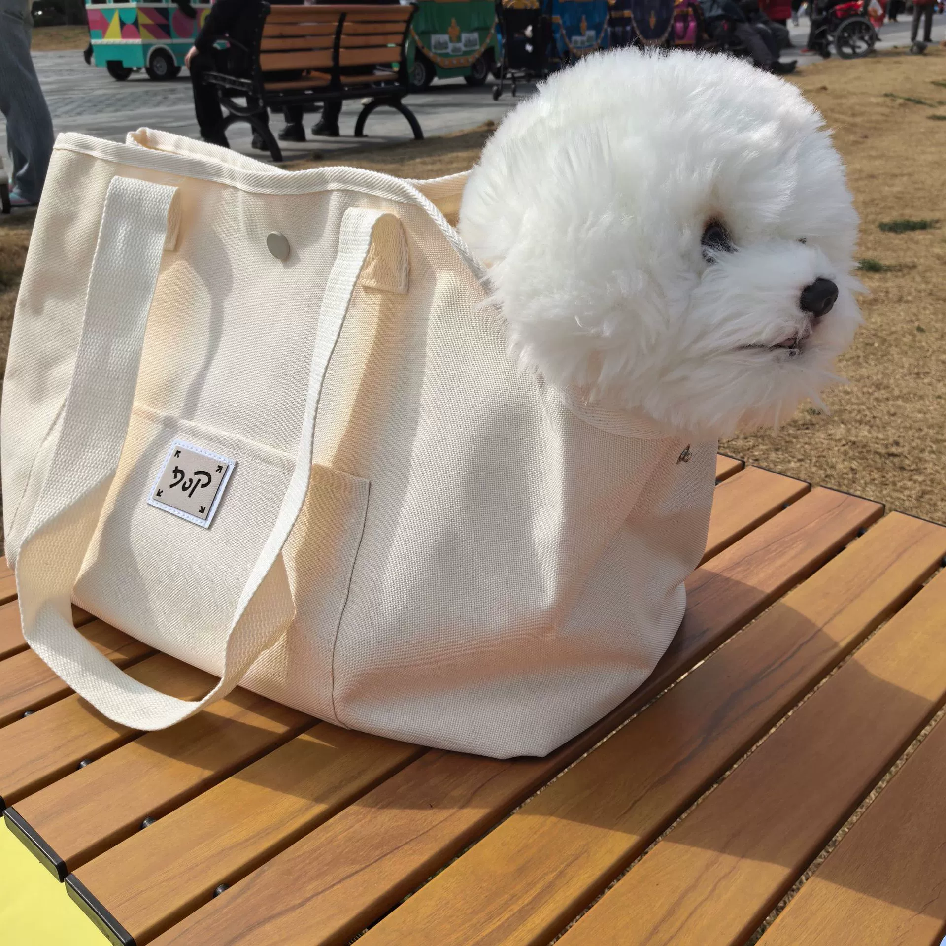 Сумка для прогулок с питомцем, сумка для кошек, дорожная сумка для маленьких собак, портативная сумка, переноска для кошек, товары для путешествий, для собак