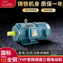 6极YVP变频电机110kw调速电机132千瓦160kw马达电机185kw200千瓦