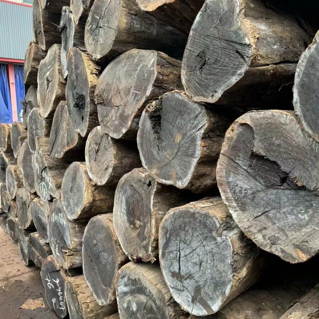 2024-06-21 14:50:12.jpg