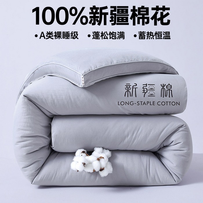 a类100%新疆棉花被加厚保暖冬被春秋被纯棉被芯家用学生四季被褥|undefined