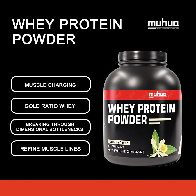 Export Cross-border Supply WHEY PROTEIN POWDER Protein Powder Large Quantity and Excellent Price