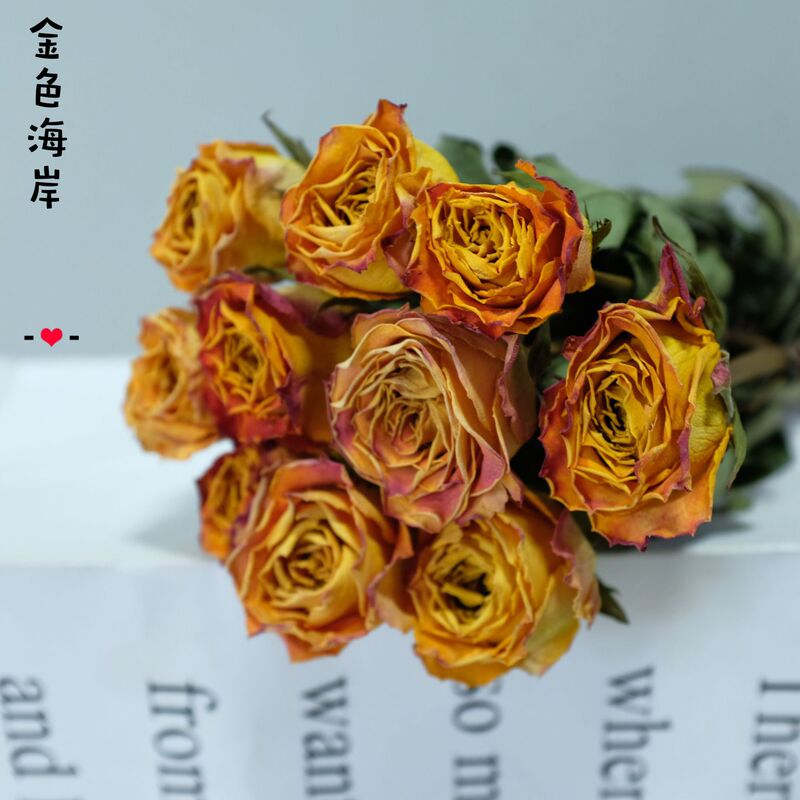 雲南昆明直発多頭バラの花の単頭バラの花の花束バラの泡飾りメーカーの卸売り|undefined
