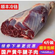 4斤 新鲜原切牛腱子肉农家散养黄牛肉产健身牛腿腱子肉花键金钱