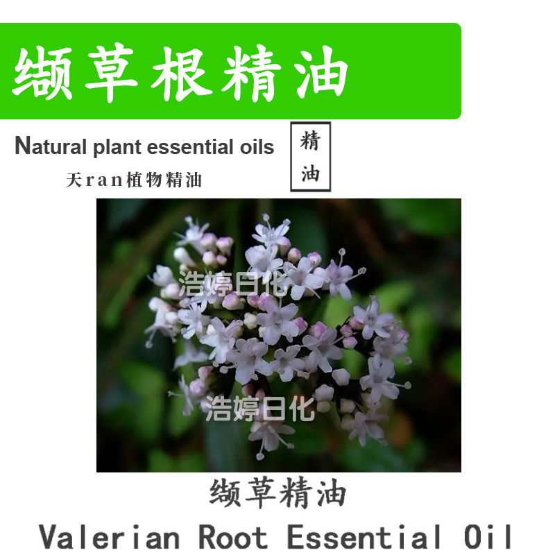 缬草根精油 Valerian root 单方精油 护肤 化妆品原料 10ml