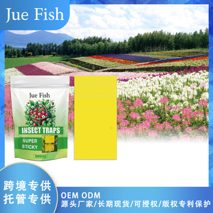 JUE FISH �S���p��ճ�x�� �T�x�p��岶С�w�xճմ��ω ճ�x��