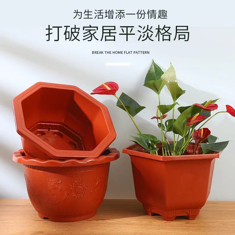 鉢植えの植木鉢を供給して、イチゴの三角梅を厚くします。|undefined