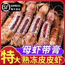 全母皮皮虾新鲜活冷冻带膏带籽虾爬濑尿虾椒盐非即食海鲜水产特大