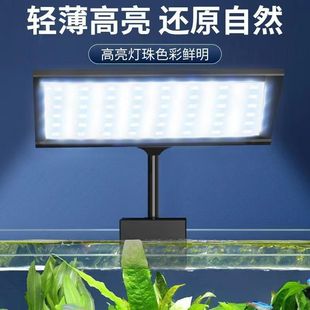 Clip Lamp, Aquarium Algae Explosion Lamp, Special Aquatic Lamp, Back Filter Tank, Naked Tank Side Filter Tank Clip Lamp