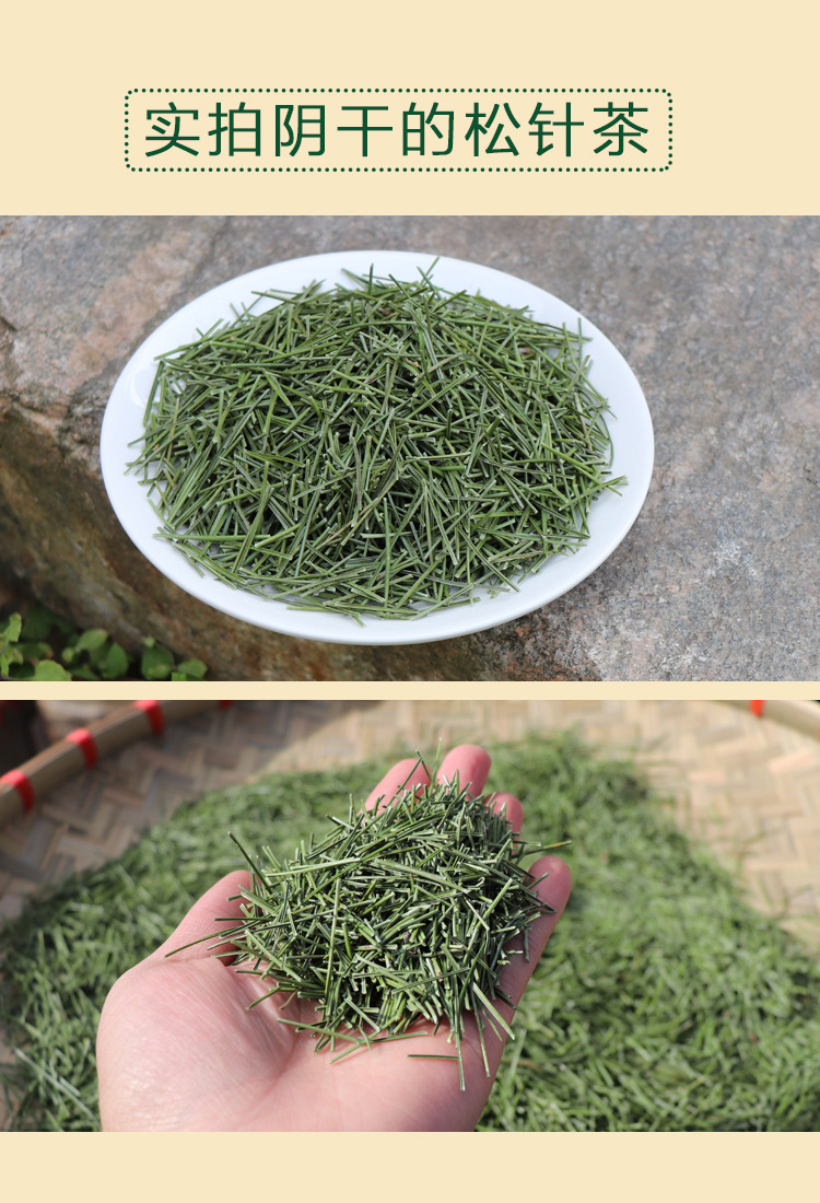 旗舰店正品松针秦岭松针新鲜干松针马尾松针叶泡水干松针打粉批发-阿里巴巴