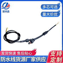 M12迷你防水连接器一拖二连接线 仪器仪表净水器信号传输防水插头