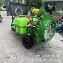 杀虫消毒喷药机 自动卷管打药机 果园农用喷雾机