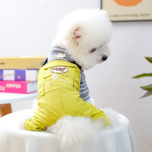 �ɠ���������b�ﶬ�¿�С�͹�������ѝ���؈��WԺ�����·�