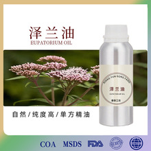 单方精油泽兰油植物提取化妆品原料泽兰全草精油现货