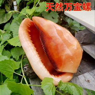 �f����ؐ���ش����Ĵ����ݶYƷ�~���쾰ˮ���b�Ʒ�[��