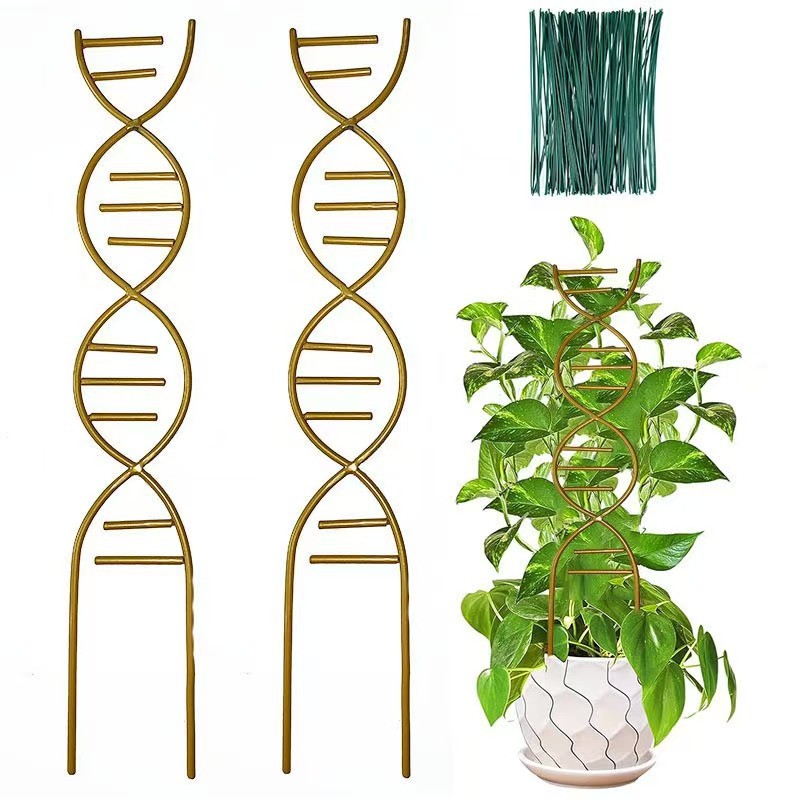 Source Factory Iron Art Climbing Plant Support Pole Plant Climbing Frame Gardening Potted Plant Flowerpot Plant Fixer Bracket