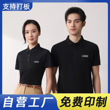 �|��ؔ����؛�����T���_�{�Ļ�������������ӡlogo����POLO������
