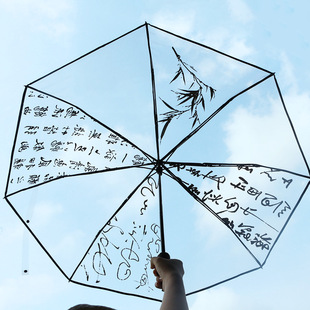 Manufacturer Wholesale Fully Automatic Transparent Umbrella Wholesale Rain or Shine Poe Material Xiaohongshu Same Style Advertising Umbrella
