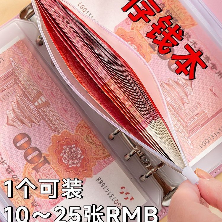 小红书爆款现金存钱本只放钱家庭记收纳袋攒钱大容量内袋|undefined