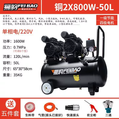 Hava kompressorları: Small Air Compressor Oil-Free Silent - all-copper-motor-800x2-double-head-steam