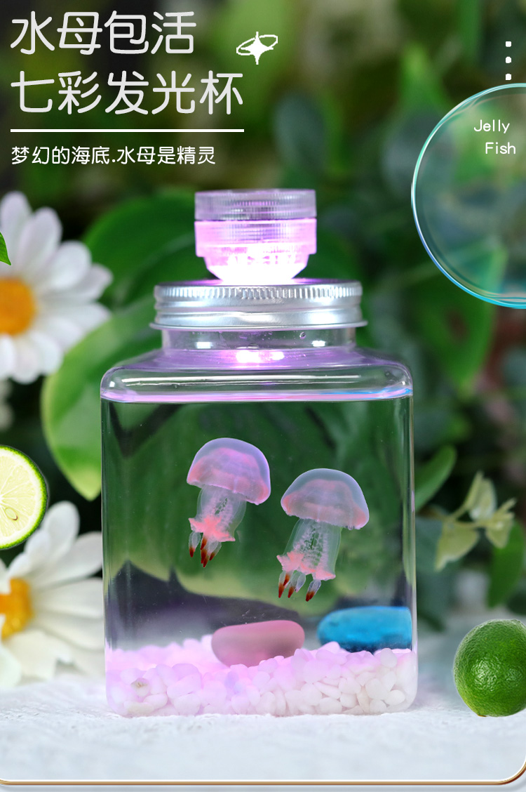 水母活物缸家养好养儿童学生桌面小动物宠物迷你懒人水族箱赤月