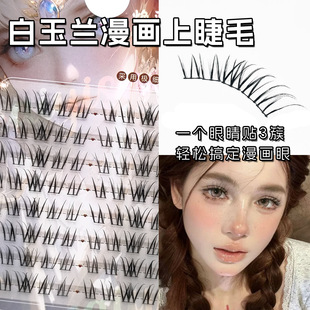 Magnolia Comic Upper Eyelashes with Eyeliner-Like Single-Cluster Segmented Student Makeup Lazy Daily Segmented False Eyelashes