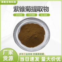 紫锥菊提取物 水溶  紫锥菊浓缩粉 紫锥菊粉1KG起 厂家包邮