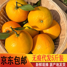 【京东】赣南脐橙5斤/10斤/20斤装新鲜江西赣州脐橙现摘橙子批发