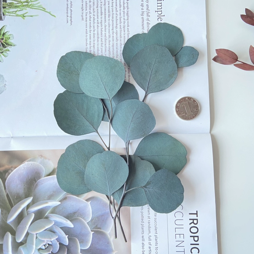 Floral aromatherapy, candle, materials set, photo frame, sample, handmade