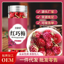 包邮红巧梅现货现发绿萝花厂家散货批发红巧梅罐装花干支持代发