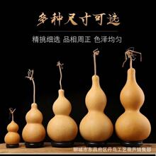 厂家供应    中号葫芦素亚腰大葫芦小葫芦批发工艺品摆件地摊货源