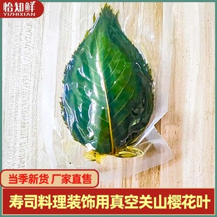 Cherry Blossom Leaves, Cherry Leaves, Japanese Sashimi Sushi Decoration, Zongye, Salted Baked Plants, Creative Plating
