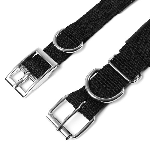 Factory-direct polypropylene foam pin buckle belt buckles & neck collars—available for small, medium, and large dogs; pet collars and neckbands