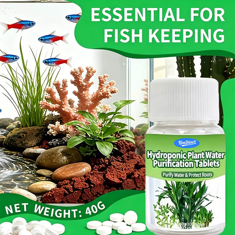 Hydroponic Plant Water Purification Tablets, Flower Preservation, Lucky Bamboo Nutrient Solution, Purify Water Quality, Extend Flowering Period, Fish Tank Cleaning