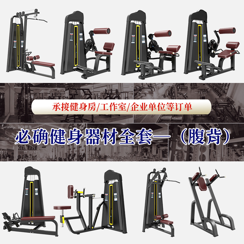 El entrenador abdominal trasero gimnasio comercial debe insertar equipo de fitness de fuerza multicolor suministro directo de fábrica